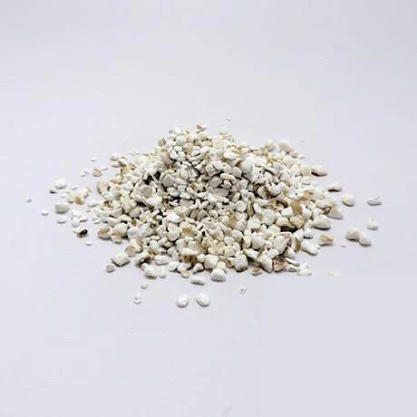 Wild Yam Root Organic